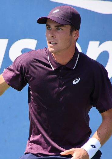 Vilius Gaubas